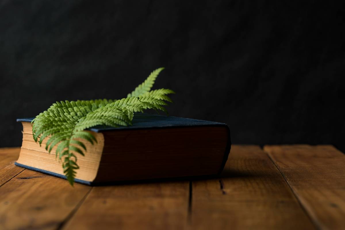 growing self quotes That Actually Fuel Real Change—Not Just Instagram Aesthetics