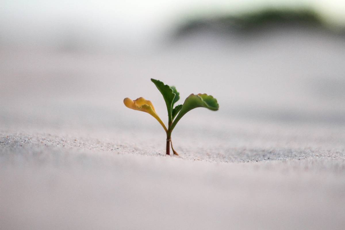 inner win self growth how one tracks daily micro-wins in a simple notebook