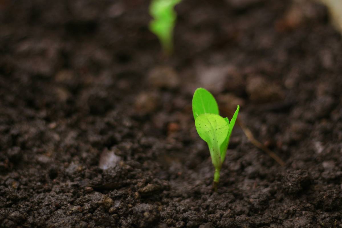 inner win self growth how one person celebrates small financial victories daily