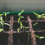 Inner Win Self Growth How One Small Shift Changed Everything