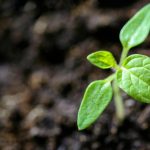 Quotes on Self Development and Growth: 7 Proven Ways to Avoid Painful Stagnation