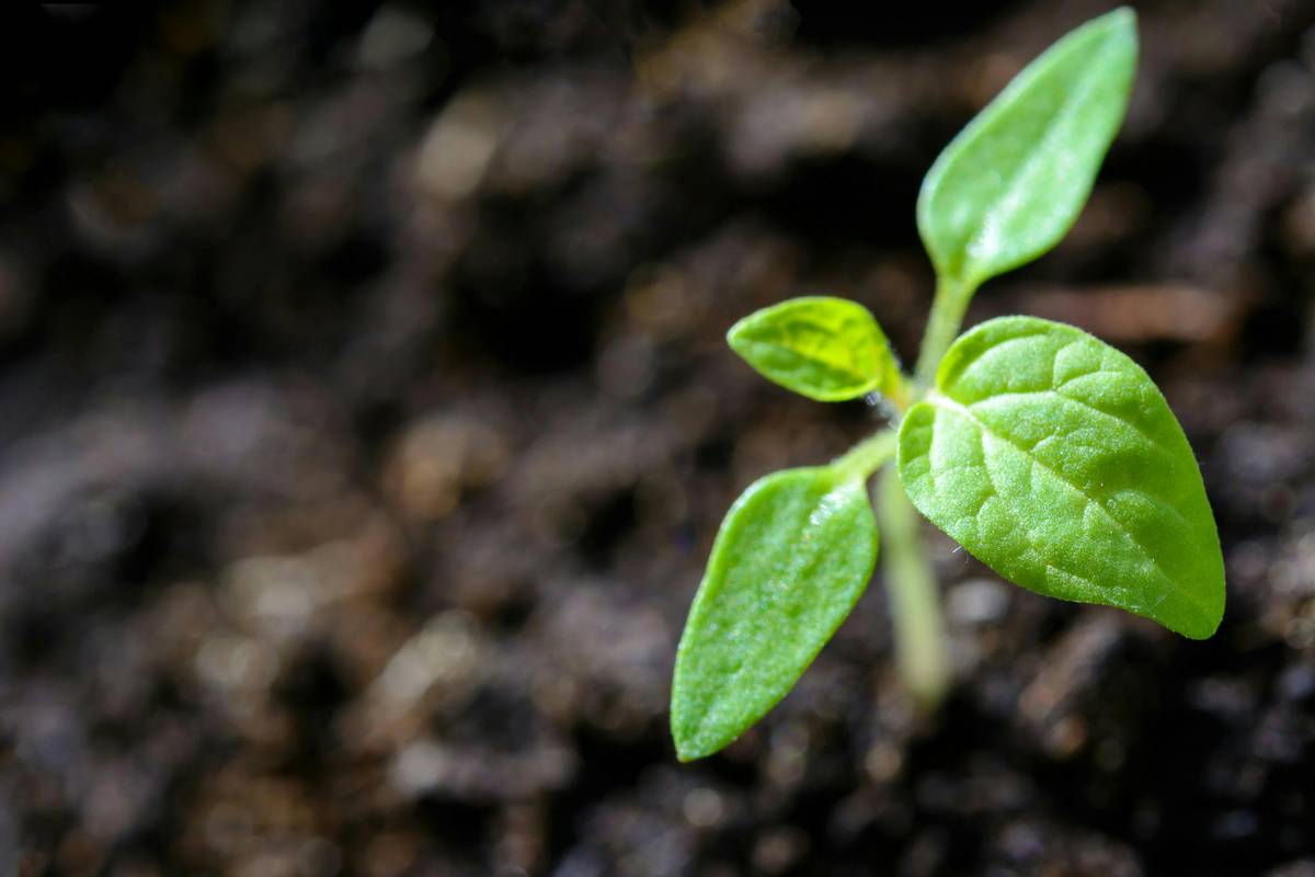 Quotes on Self Development and Growth: 7 Proven Ways to Avoid Painful Stagnation
