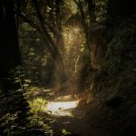Shine Moment Self Growth How Old: 7 Proven Ways to Avoid the Painful Mistake of Waiting Too Long