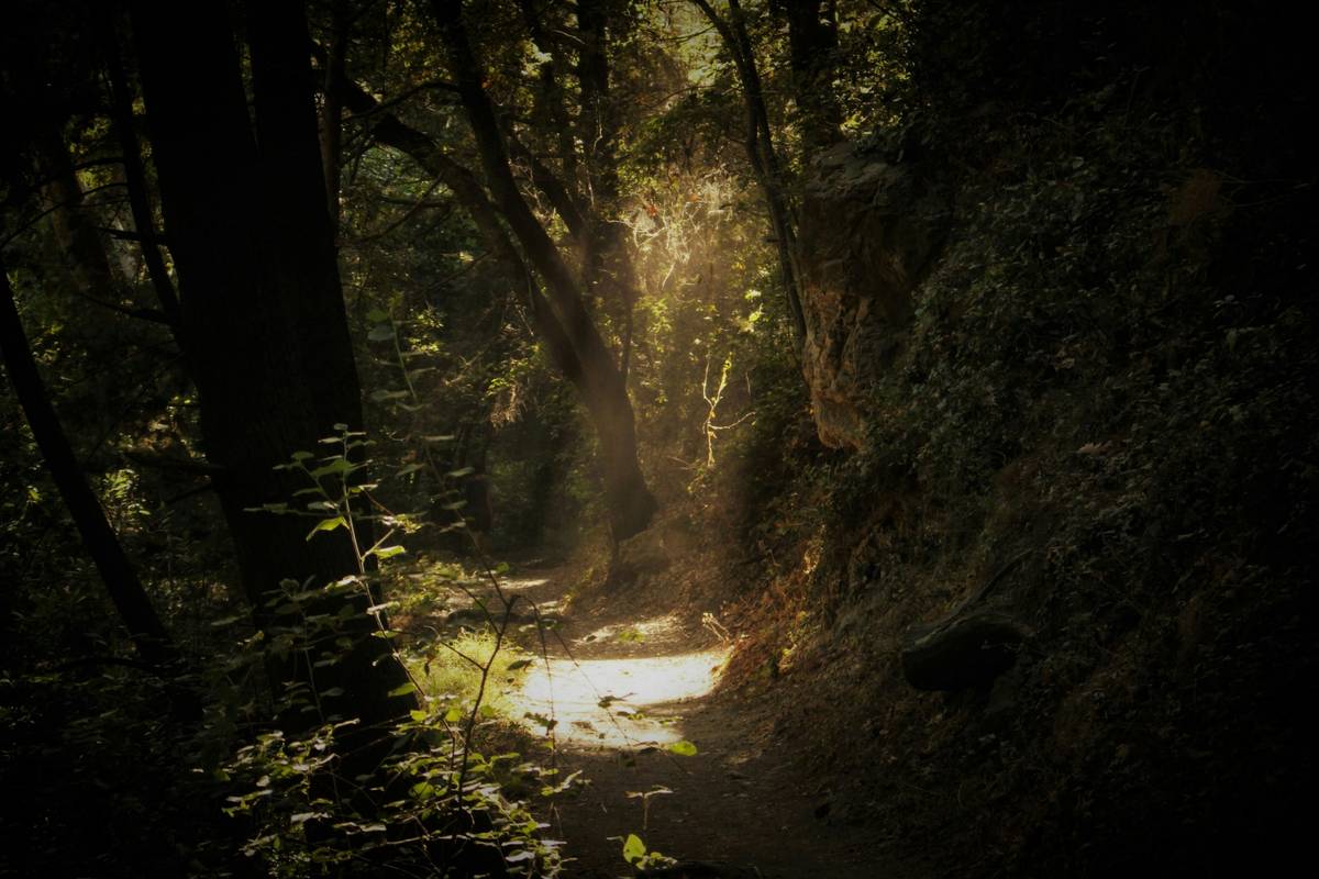 Shine Moment Self Growth How Old: 7 Proven Ways to Avoid the Painful Mistake of Waiting Too Long
